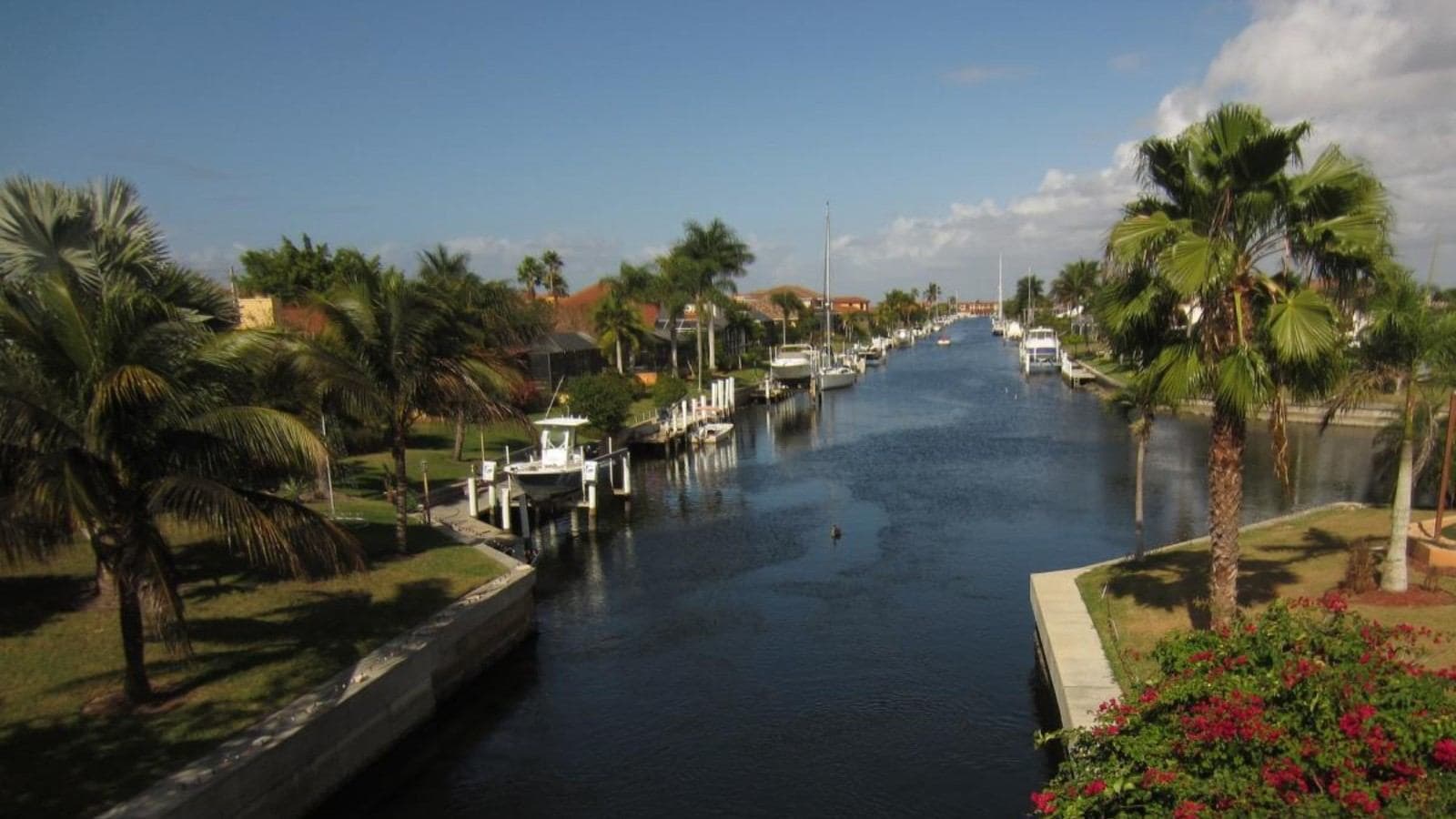 Palm-lined residential canal in Punta Gorda, FL